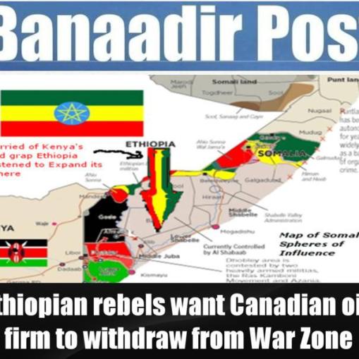 http://newsfromsomalia.wordpress.com/2013/02/19/somalia-ethiopia-ethiopian-rebels-want-canadian-oil-firm-to-withdraw-from-war-zone/