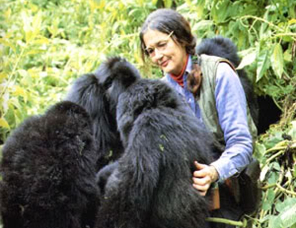 Dian-Fossey (1)