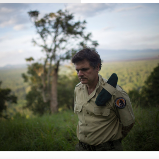 (C) NYTimes -https://www.nytimes.com/2017/08/30/business/congo-power-plants-poaching.html